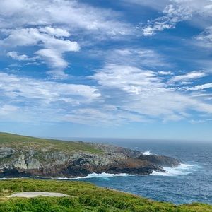 Meet your Posher, Amelia